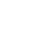 Brooklyn Brigade logo